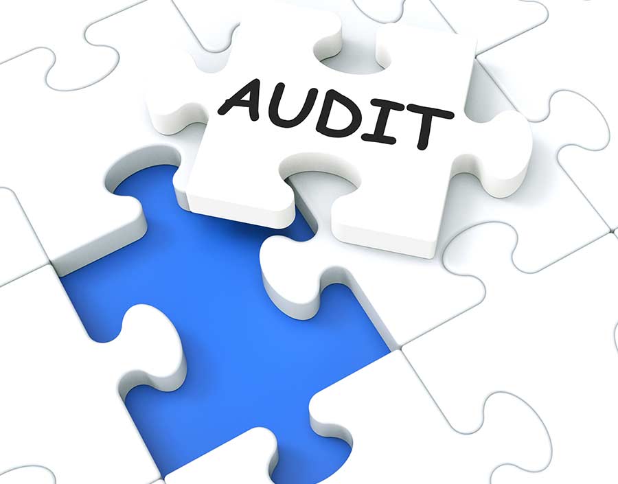 audit puzzle