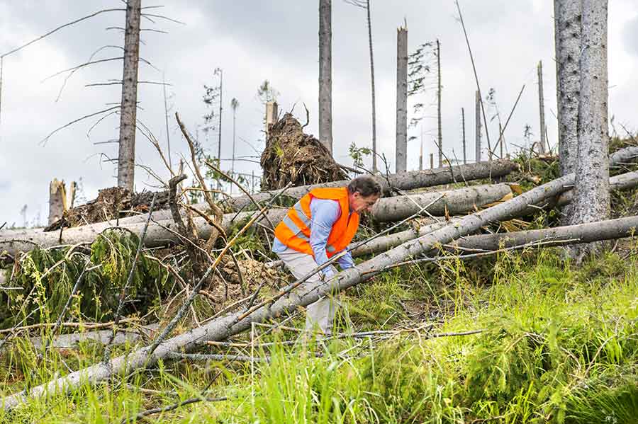 hurricane worker